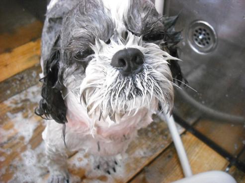 ファイル 2839-2.jpg