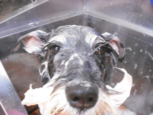 ファイル 284-2.jpg