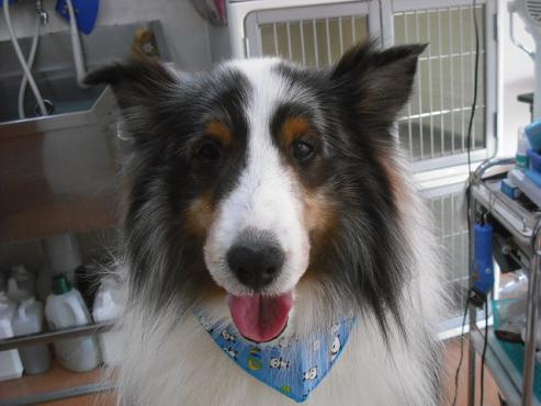 ファイル 2840-2.jpg