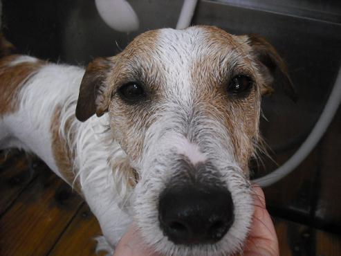 ファイル 2841-2.jpg