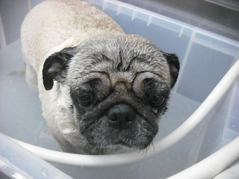 ファイル 2842-2.jpg