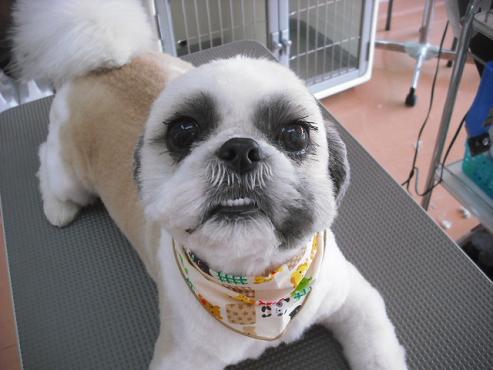 ファイル 2843-1.jpg