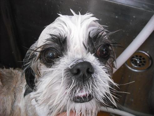 ファイル 2843-2.jpg