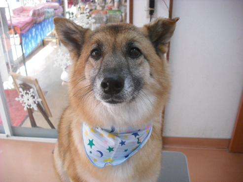 ファイル 2844-1.jpg