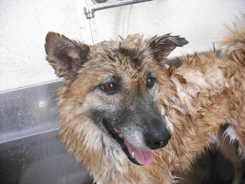 ファイル 2844-2.jpg