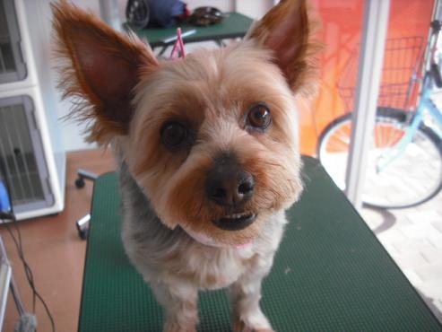 ファイル 2845-1.jpg