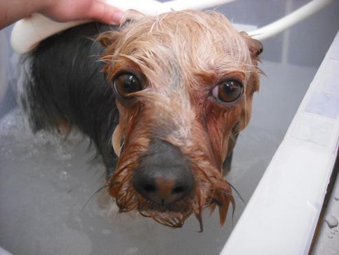 ファイル 2845-2.jpg