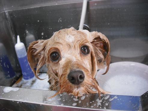 ファイル 2846-2.jpg