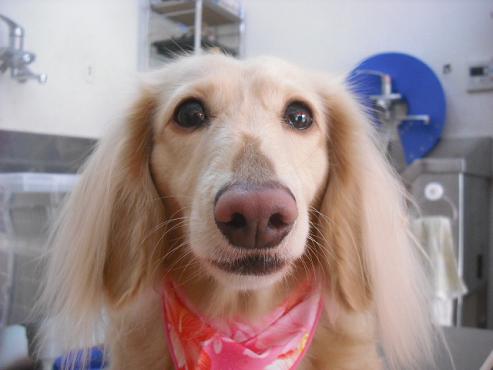 ファイル 285-1.jpg