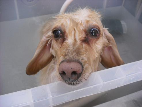 ファイル 285-3.jpg