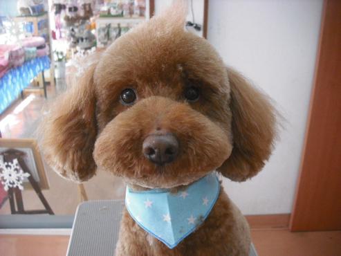 ファイル 2851-1.jpg