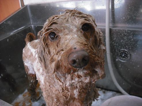 ファイル 2851-2.jpg