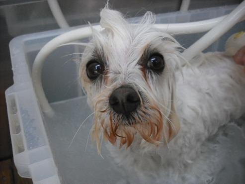 ファイル 2852-2.jpg