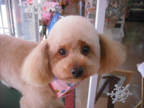 ファイル 2853-1.jpg