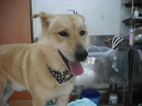 ファイル 286-1.jpg