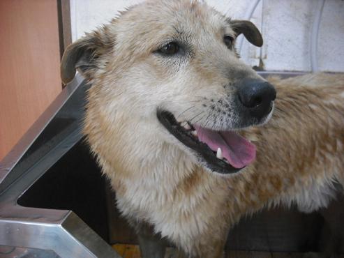 ファイル 286-2.jpg