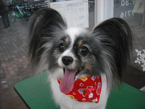 ファイル 2861-1.jpg