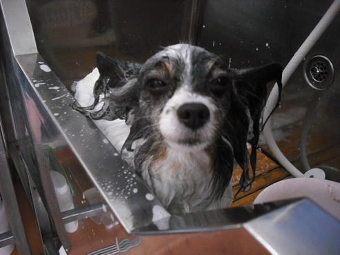 ファイル 2861-2.jpg