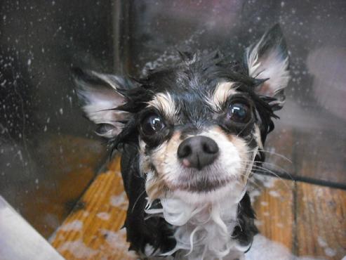 ファイル 2863-2.jpg