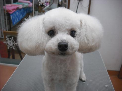 ファイル 2864-1.jpg