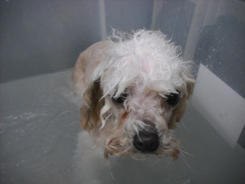 ファイル 2864-2.jpg