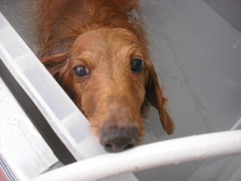 ファイル 2865-2.jpg