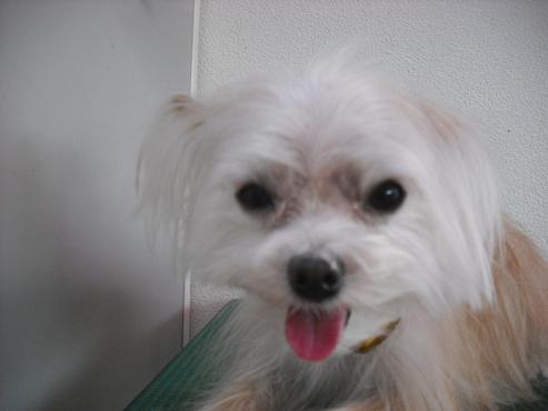 ファイル 2866-1.jpg