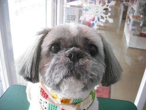 ファイル 2868-1.jpg