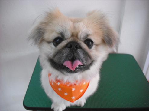 ファイル 2869-1.jpg