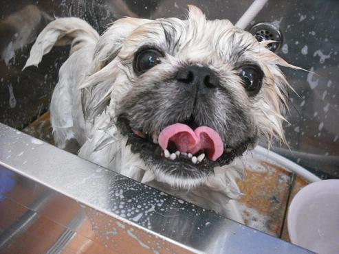 ファイル 2869-2.jpg