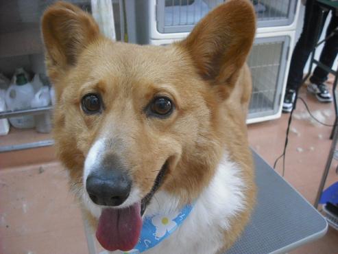 ファイル 287-2.jpg