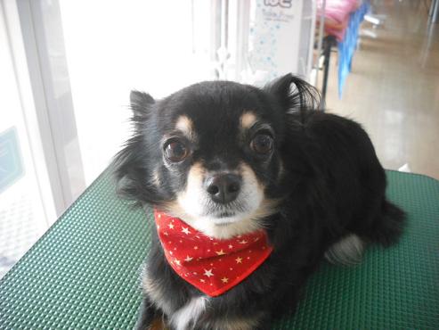 ファイル 2870-1.jpg