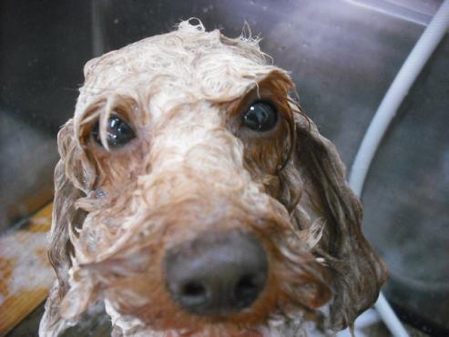 ファイル 2873-2.jpg