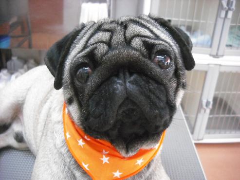 ファイル 2874-1.jpg