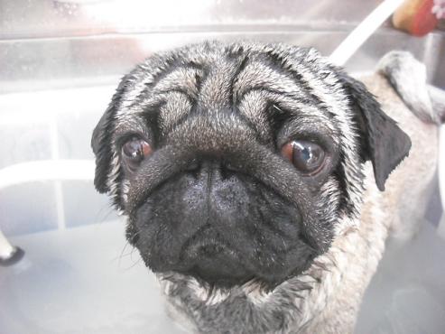 ファイル 2874-2.jpg