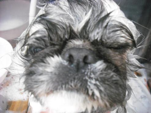 ファイル 2875-2.jpg