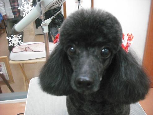 ファイル 2876-1.jpg