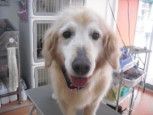 ファイル 288-1.jpg