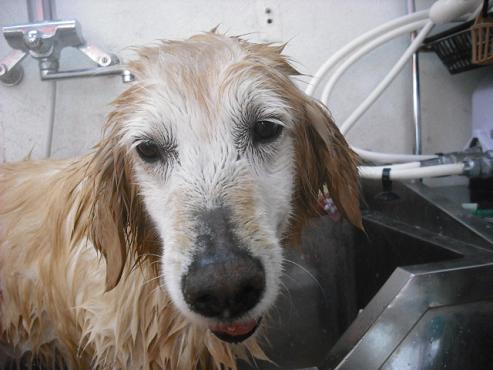 ファイル 288-2.jpg