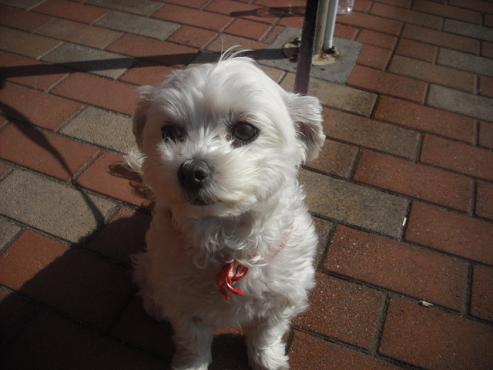 ファイル 2881-2.jpg