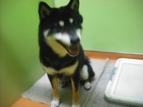 ファイル 2882-2.jpg