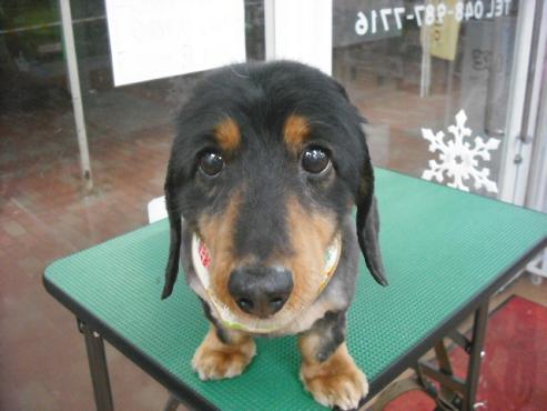 ファイル 2883-1.jpg