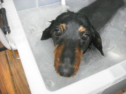 ファイル 2883-2.jpg