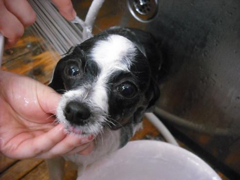 ファイル 2884-2.jpg