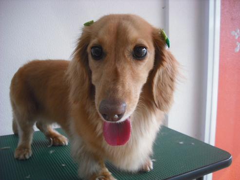 ファイル 2885-1.jpg