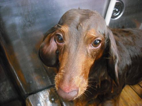 ファイル 2886-2.jpg