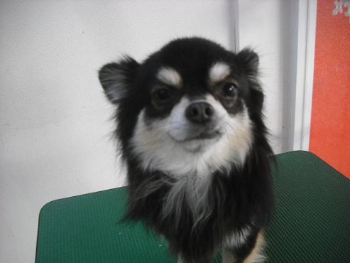 ファイル 2887-1.jpg