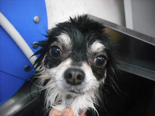 ファイル 2887-2.jpg