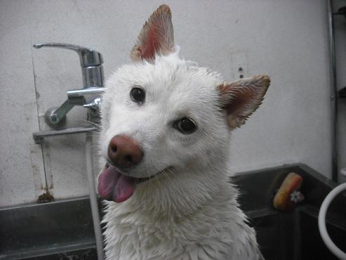 ファイル 2889-2.jpg