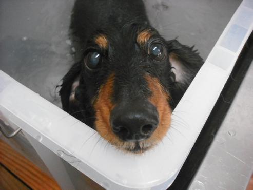 ファイル 289-2.jpg